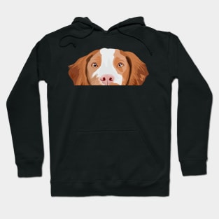 Brittany Spaniel nose Hoodie